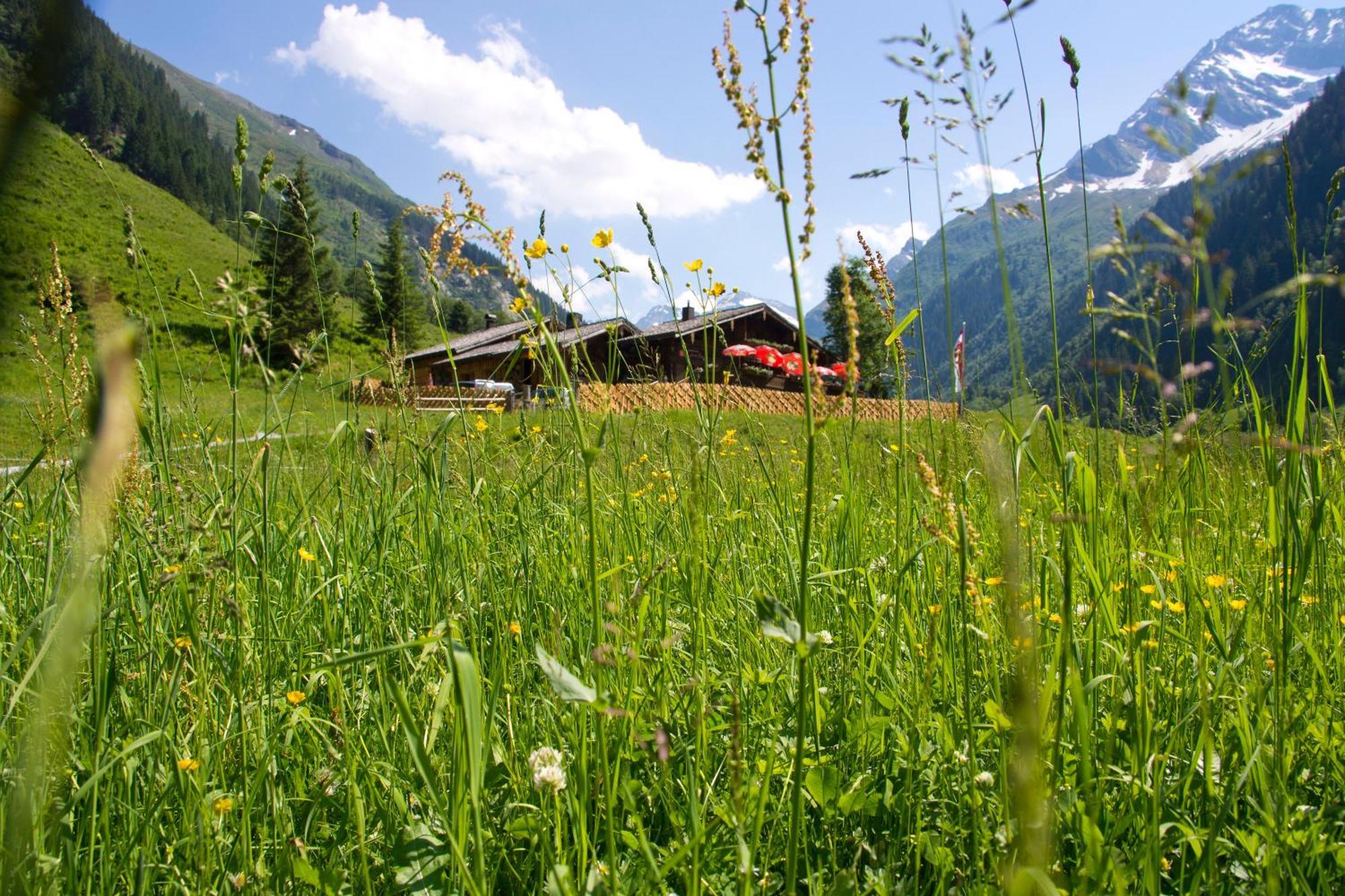 Bed and Breakfast Senninger Alm Голлерсбах-ім-Пінцґау Екстер'єр фото